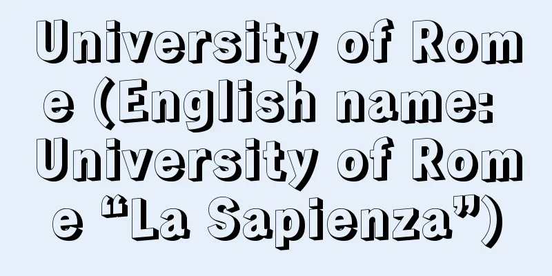 University of Rome (English name: University of Rome “La Sapienza”)