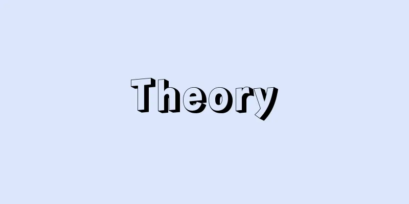 Theory