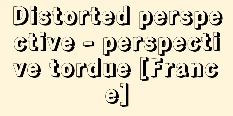Distorted perspective - perspective tordue [France]