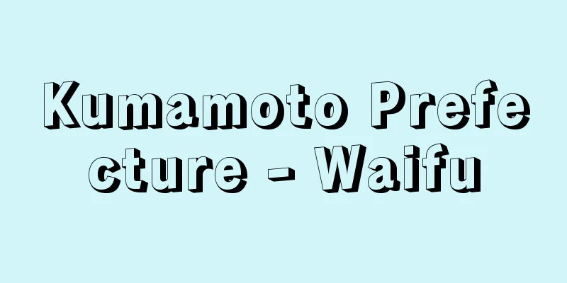 Kumamoto Prefecture - Waifu