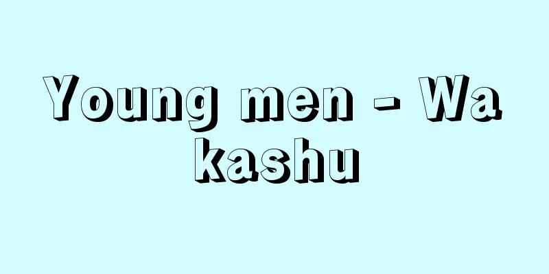 Young men - Wakashu