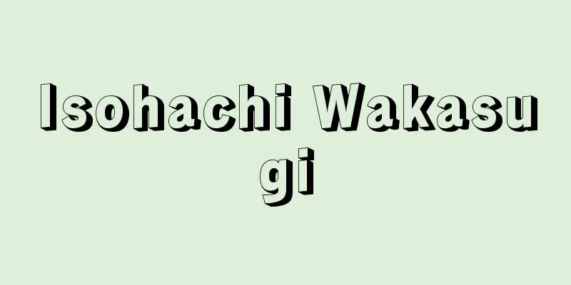 Isohachi Wakasugi