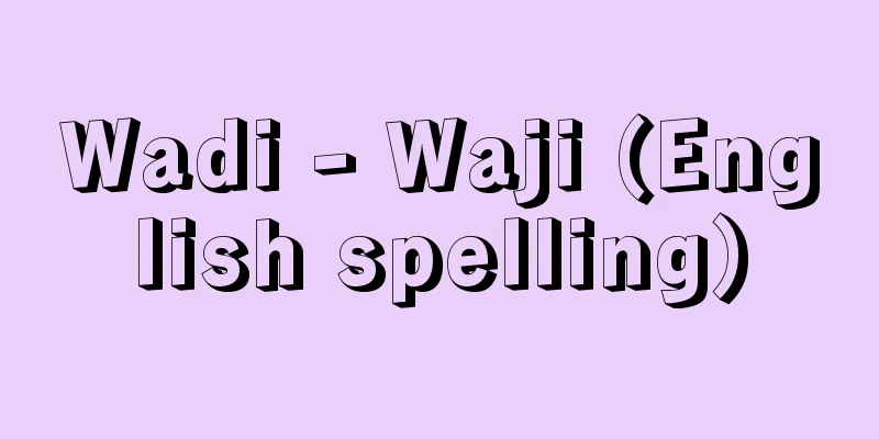Wadi - Waji (English spelling)
