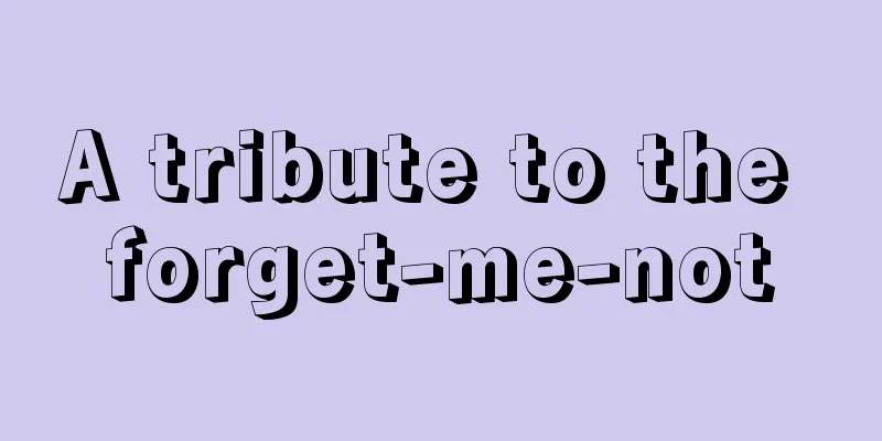 A tribute to the forget-me-not