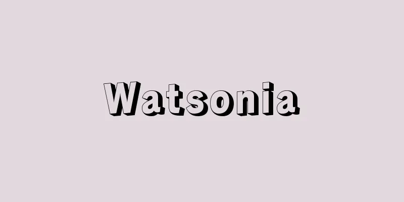 Watsonia