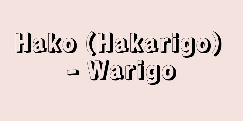 Hako (Hakarigo) - Warigo