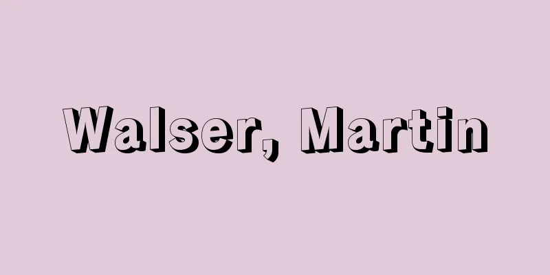 Walser, Martin