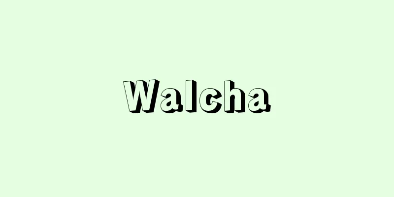 Walcha