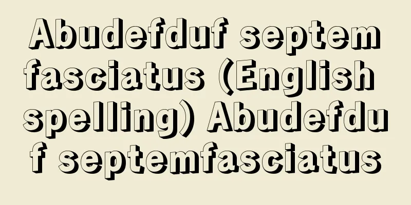 Abudefduf septemfasciatus (English spelling) Abudefduf septemfasciatus