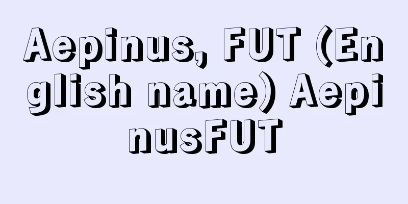 Aepinus, FUT (English name) AepinusFUT