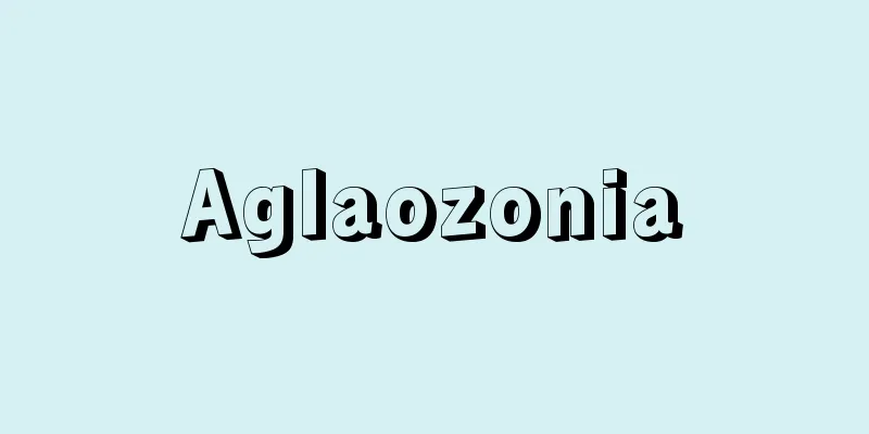 Aglaozonia