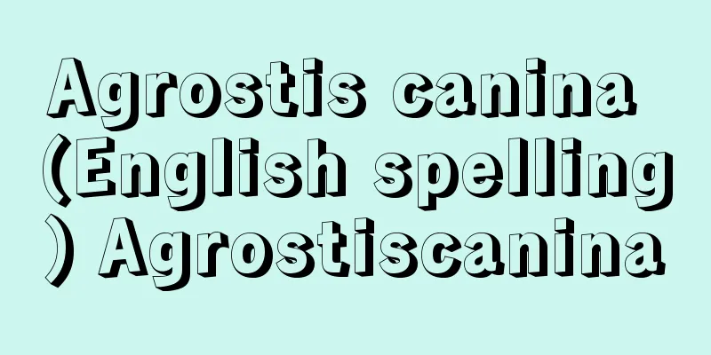 Agrostis canina (English spelling) Agrostiscanina