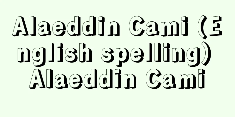 Alaeddin Cami (English spelling) Alaeddin Cami