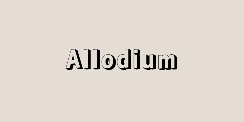 Allodium