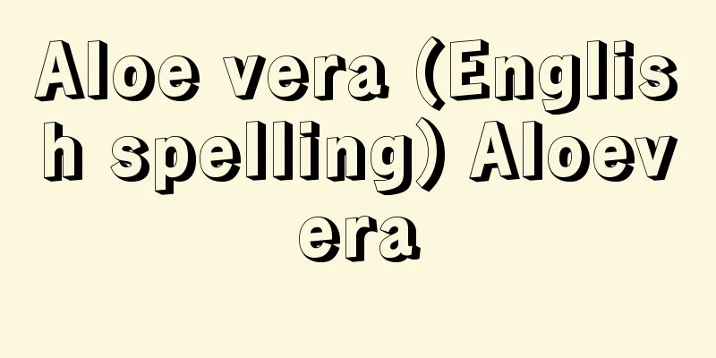Aloe vera (English spelling) Aloevera