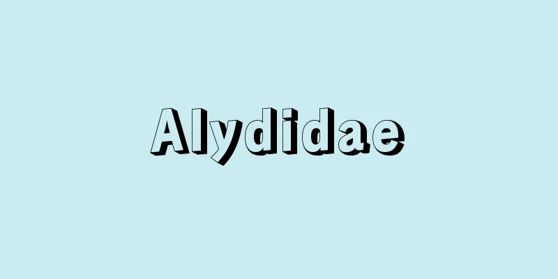Alydidae