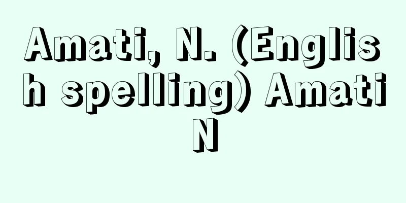 Amati, N. (English spelling) AmatiN