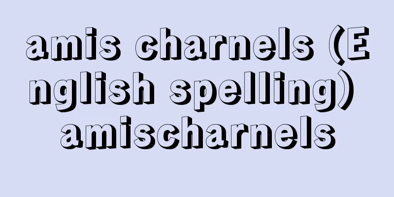 amis charnels (English spelling) amischarnels