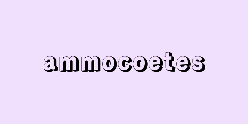 ammocoetes