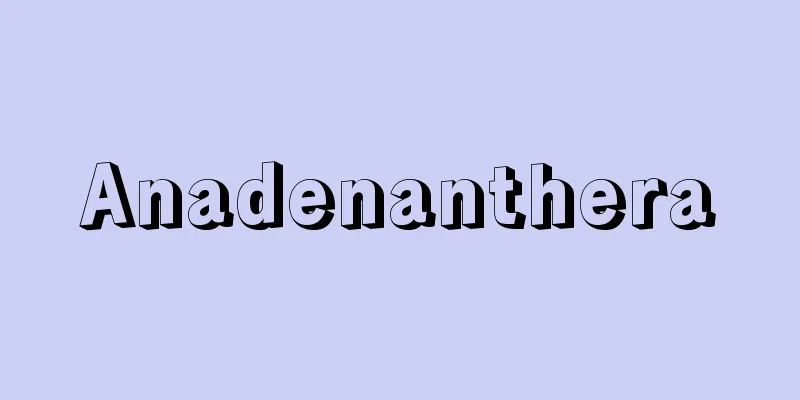 Anadenanthera