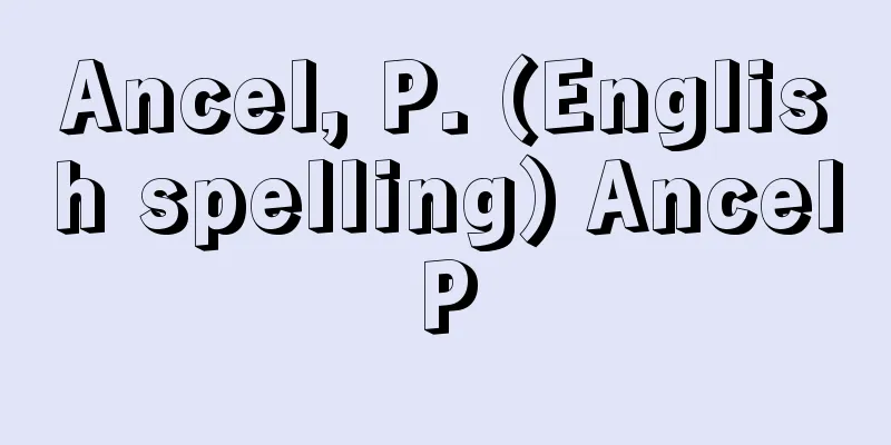 Ancel, P. (English spelling) AncelP