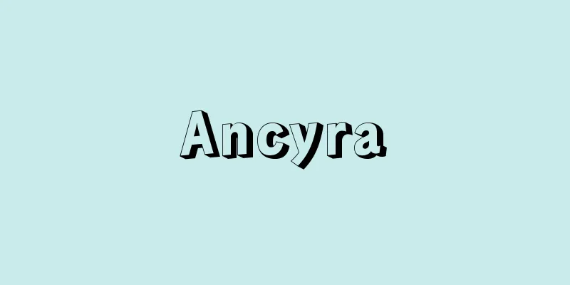 Ancyra