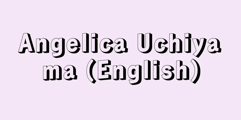 Angelica Uchiyama (English)