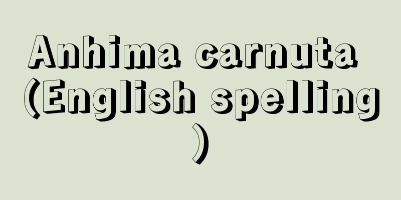 Anhima carnuta (English spelling)