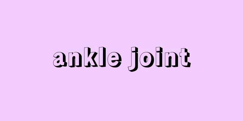 ankle joint