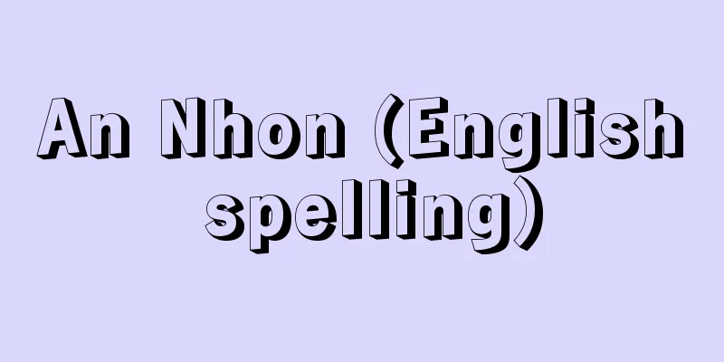 An Nhon (English spelling)