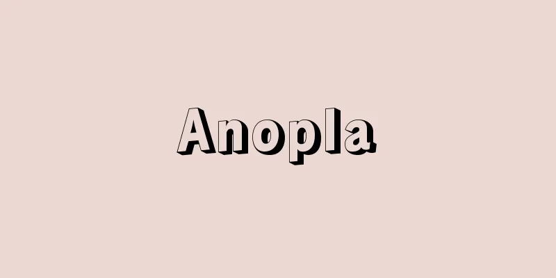 Anopla