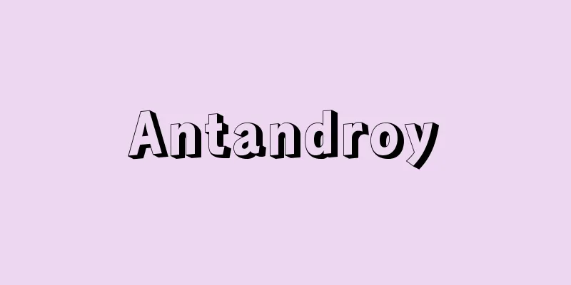 Antandroy