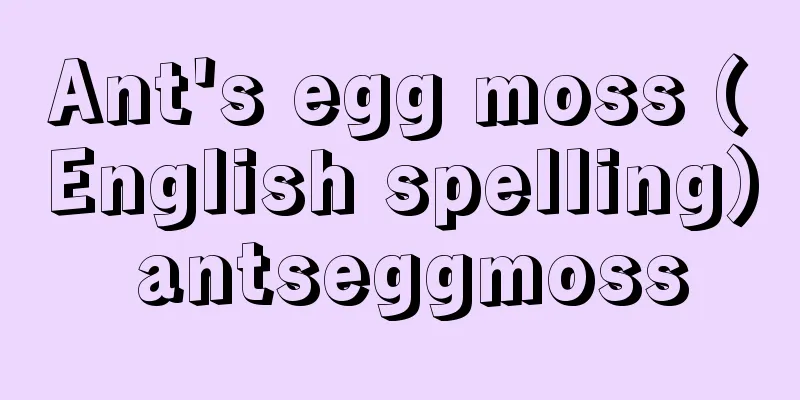 Ant's egg moss (English spelling) antseggmoss