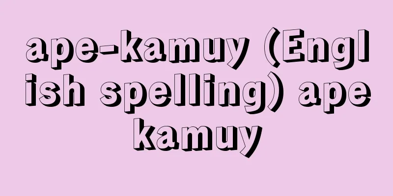 ape-kamuy (English spelling) apekamuy