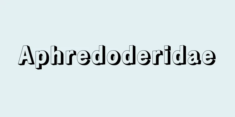 Aphredoderidae