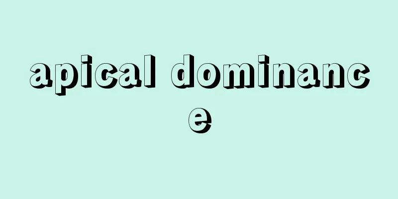 apical dominance