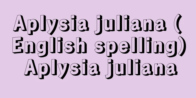 Aplysia juliana (English spelling) Aplysia juliana