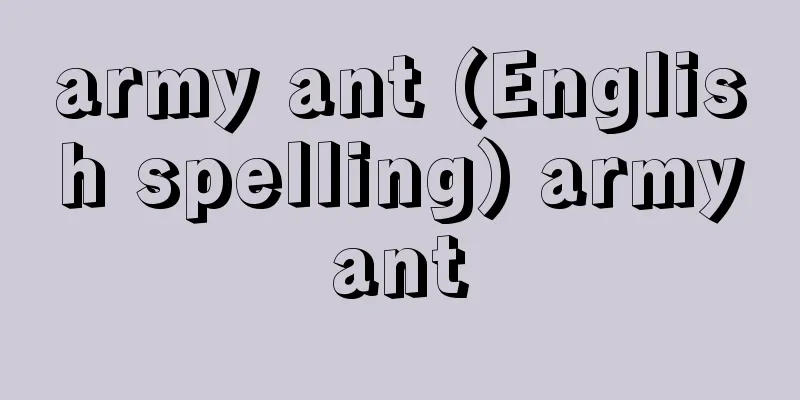 army ant (English spelling) armyant