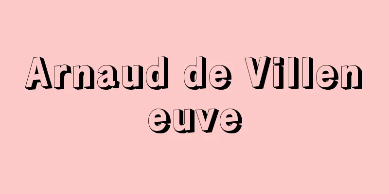 Arnaud de Villeneuve