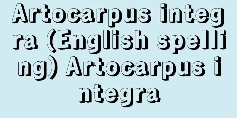Artocarpus integra (English spelling) Artocarpus integra