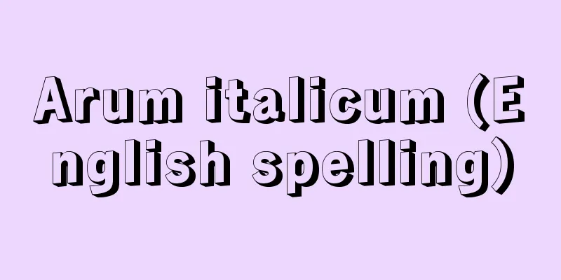 Arum italicum (English spelling)