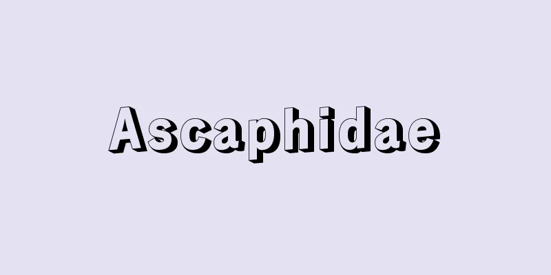 Ascaphidae
