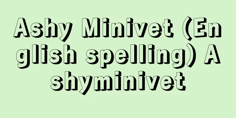 Ashy Minivet (English spelling) Ashyminivet
