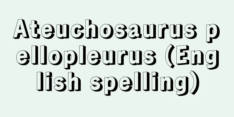 Ateuchosaurus pellopleurus (English spelling)