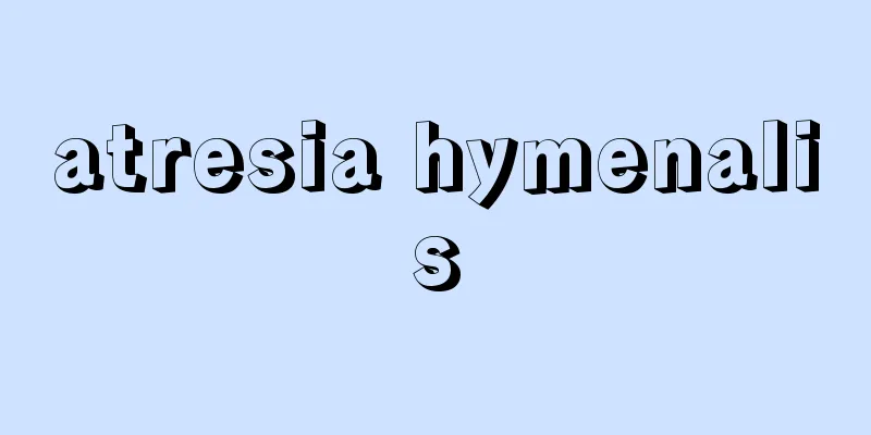 atresia hymenalis