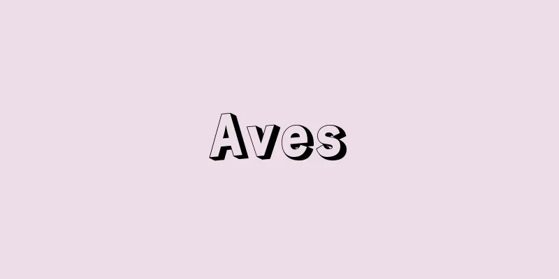 Aves