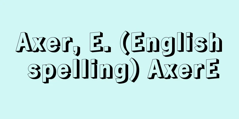 Axer, E. (English spelling) AxerE