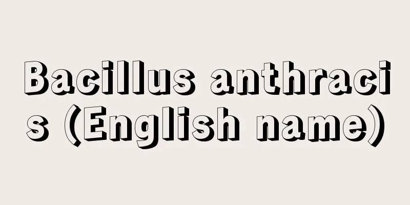 Bacillus anthracis (English name)