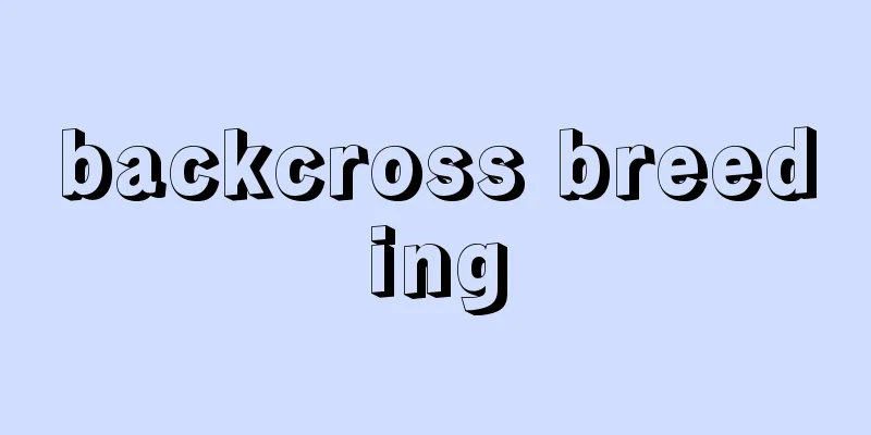 backcross breeding