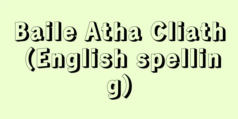 Baile Atha Cliath (English spelling)